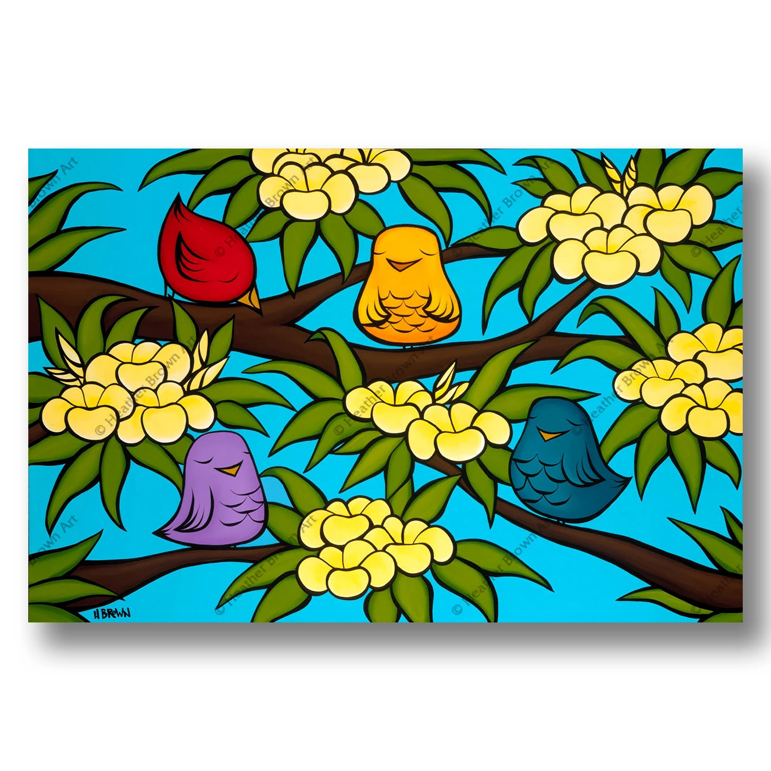 BIRD OHANA / Heather Brown（ヘザーブラウン）のLimited Canvas通販