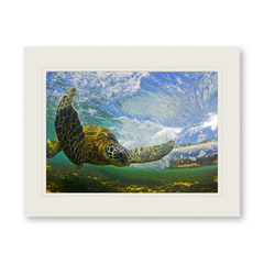 Clark Little(クラークリトル)通販 360件目～ | GREENROOM GALLERY