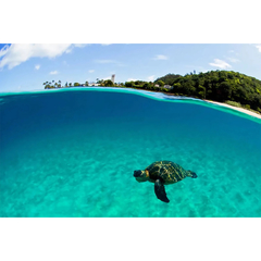 Clark Little(クラークリトル) |HAPPY HONU