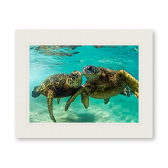 Clark Little クラーク・リトル　アルミニウムプリント　クラークリトル Clark Little(クラークリトル)通販 290件目～ | GREENROOM GALLERY