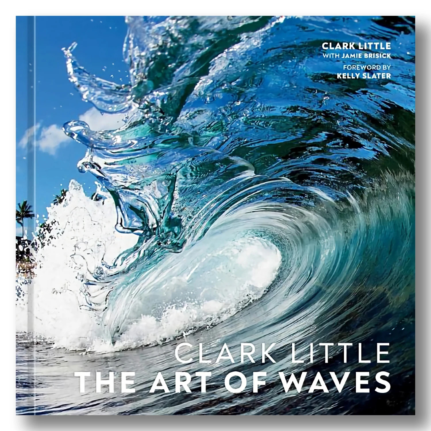 CLARK LITTLE THE ART OF WAVES