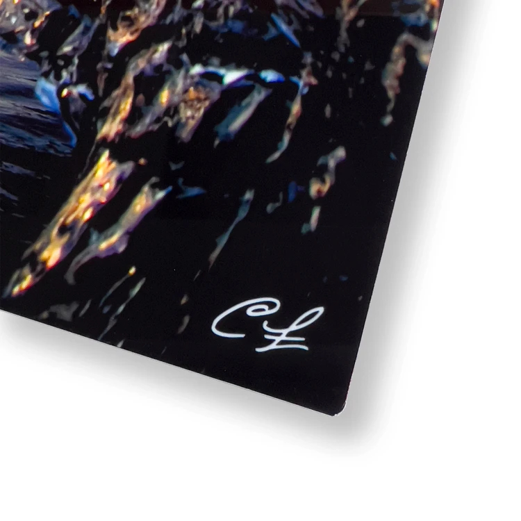 TALKING BUBBLES / Clark Little（クラークリトル）のAlumi Prints通販