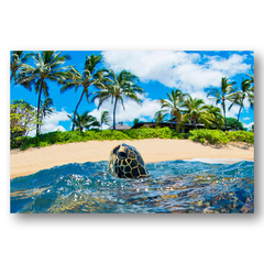 Lola Pilar Hawaii ローラピラー アートプリント「ハワイ諸島」 Lola Pilar Hawaii(ローラピラーハワイ)通販 | GREENROOM GALLERY