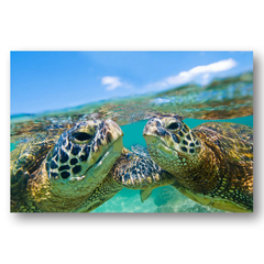 美品　CLARK LITTLE SHOREBREAK【クラークリトル】 Clark Little(クラークリトル)通販 30件目～ | GREENROOM GALLERY