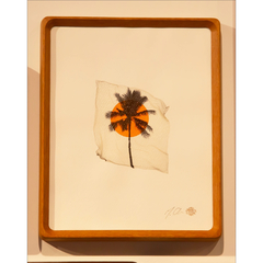 Heather Brown 額縁　Greenroom Greenroom Gallery Hawaii