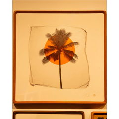 Matthew Allen(マシューアレン)通販 60件目～ | GREENROOM GALLERY