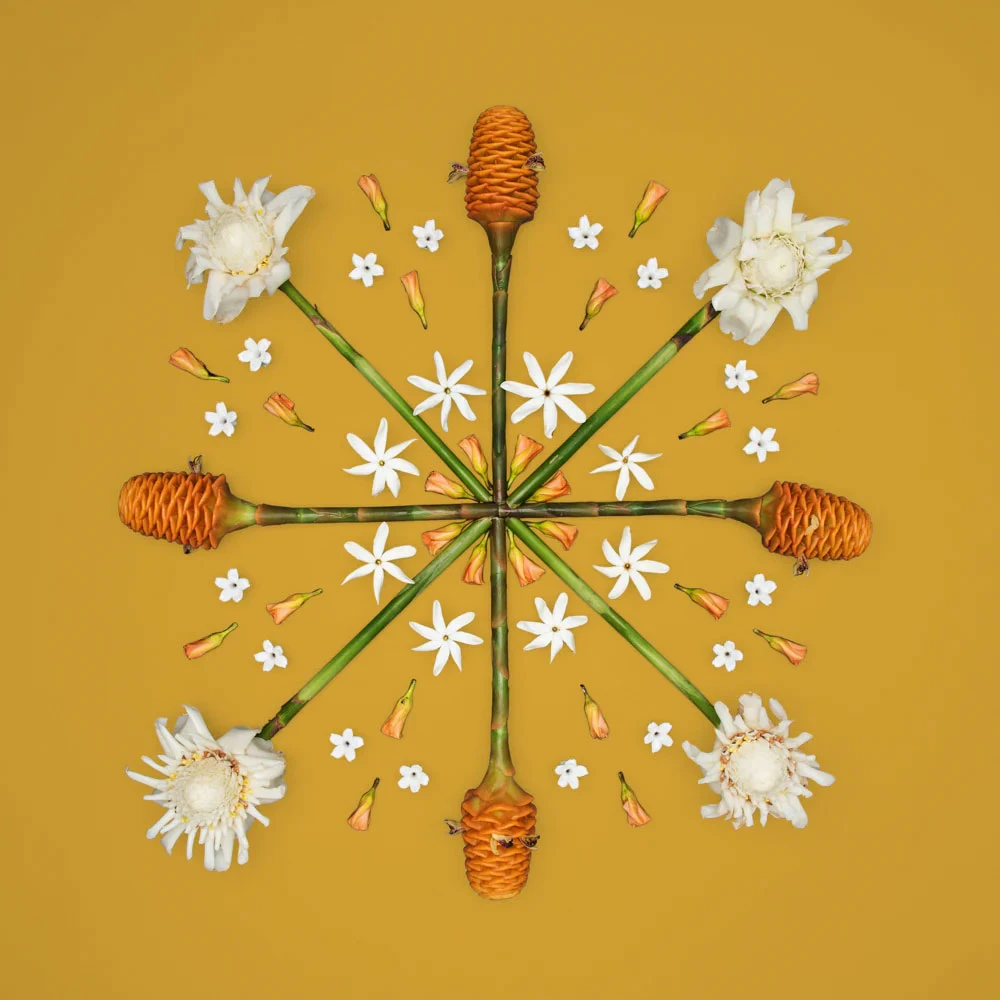 GOLDEN BEEHIVE / Lola Pilar Hawaii（ローラピラーハワイ）のMatted