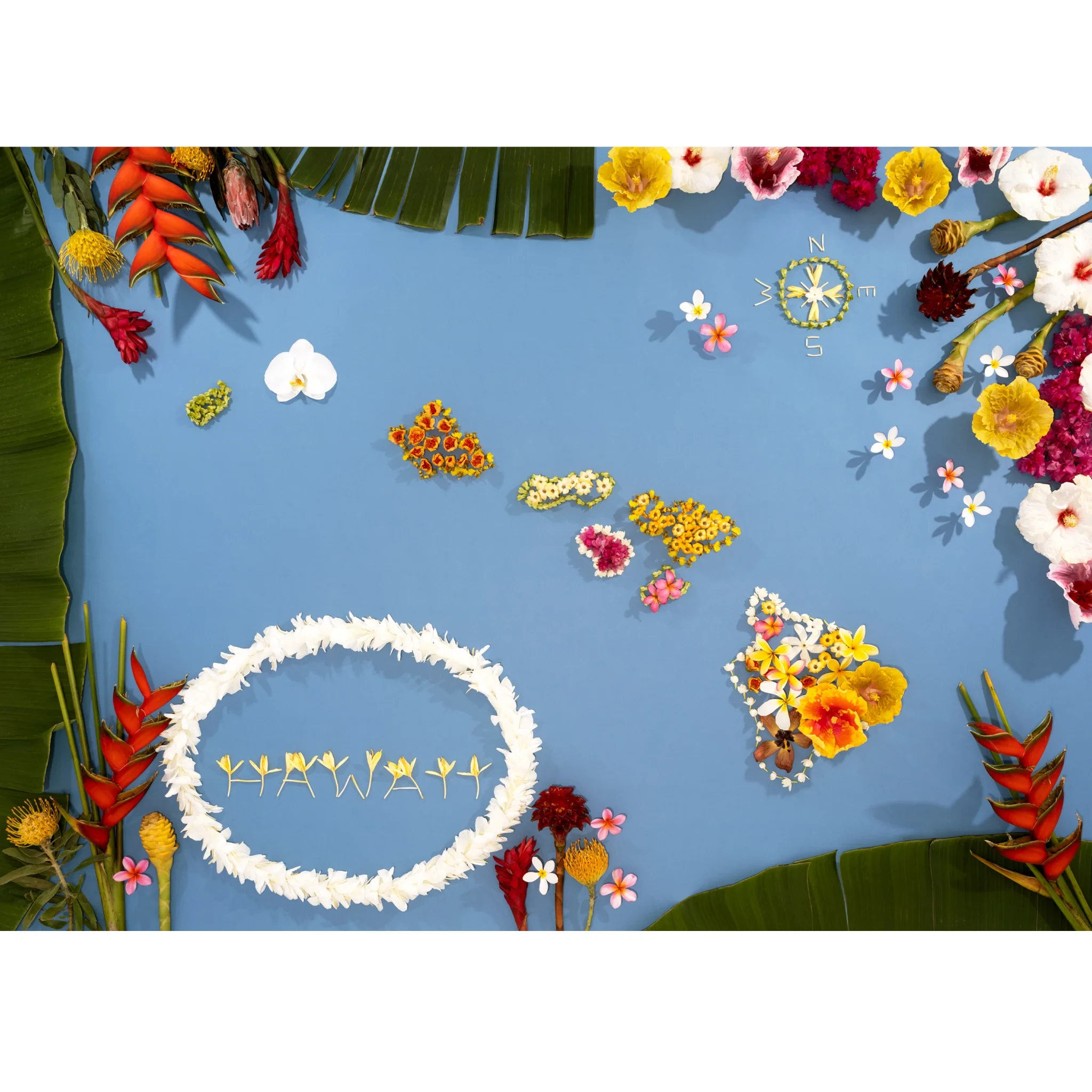 【5％OFF】 HAWAI'I / Lola Pilar Hawaii（ローラピラーハワイ）のMatted 写真・グラフィック